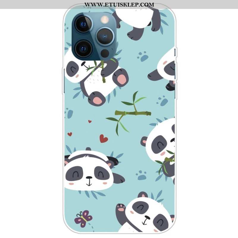 Etui do iPhone 14 Pro Banda Pand